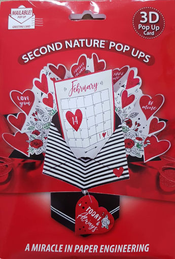 Picture of VALENTINES DAY POP UP CARD